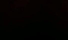 تسجيل صوتي من داخل سجن النقب الصحراوي لهتاف الأسرى بعد خبر استشهاد الأسير المقدسي عزيز عويسات.