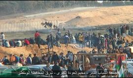 #شاهد

بث مباشر من خيمة العودة في المنطقة الوسطى.