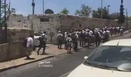 #شاهد مسيرة للمستوطنين متجه نحو باب الأسباط أحد أبواب  المسجد الاقصى، حيث يقومون بالغناء وتلقي الشروحات خلال مسيرهم