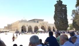 #مباشر : خطبة الجمعة بالمسجد الأقصى المبارك 

تصوير: ابراهيم السنجلاوي