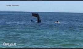 #شاهد: تحطم طائرة قرب ساحل بلدة أمريكية.. وحراس الشاطئ ينقذون الطيار

موقع CNN