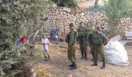 #شاهد مستوطنون لشباب ضد الإستيطان بعد رفعهم العلم الفلسطيني في تل الرميدة : " عيسى عمرو في سجن السلطة "