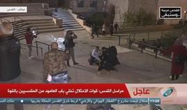 #مباشر الاحتلال يعتدي على المقدسيين عند باب العامود في القدس المحتلة