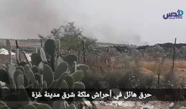 #حريق هائل شرق مخيم العودة في موقع ملكة بفعل الطائرات الورقية .
#مسيرة_العودة_الكبرى