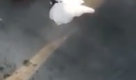 104141399_428574731359246_7216573601985452366_n