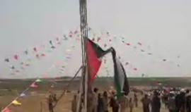 الان بدء رفع  العلم الفسطيني شمال شرق جباليا شمال القطاع 
#بث محمد حازم المصري