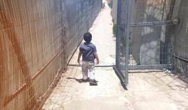 "طفلي وداعًا" ..

انشودة تصف ألم الفراق الذي حل بالكاتبة الفلسطينية "لمى خاطر" بعد أن فرقت سجون الاحتلال بينها وبين أطفالها