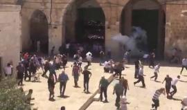 #شاهد قوات الاحتلال تفرق المصلين بالمسجد الأقصى