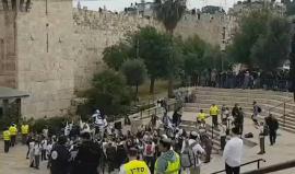 مستوطنون #إسرائيليون يحتفلون بالذكرى الـ51 لاحتلال #القدس