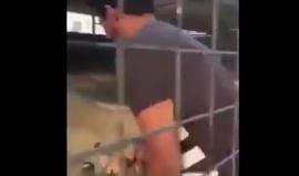 في السعودية .. نمر يُهاجم رجل بعد محاولته مداعبته !