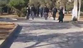 #فيديو مستوطنون يقتحمون باحات الأقصى بحماية قوات الاحتلال