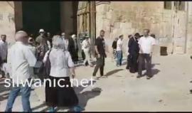 #فيديو مستوطنون اثناء خروجهم من باب السلسلة بعد اقتحام الأقصى