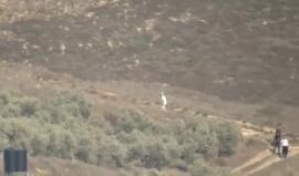 #فيديو اعتداء المستوطنين على منزل المواطن الفلسطيني "بشير حمزه زبن" شرق بورين في نابلس اليوم