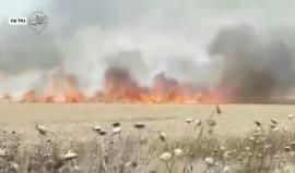 القناة 13 العبرية: المستوطنون يطالبون حكومتهم بالتعويضات عن خسائر زراعية بالملايين جراء الطائرات الورقية الحارقة التي "تتساقط عليهم من قطاع غزة" يوميا.