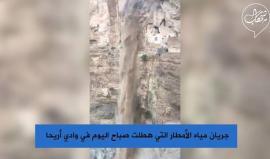 #فيديو جريان مياه الأمطار في وادي أريحا صباح اليوم 

تصوير: عمار خربيش