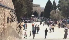 #شاهد | نحو 25 ألفا يؤدون صلاة الجمعة في المسجد الأقصى المبارك .
