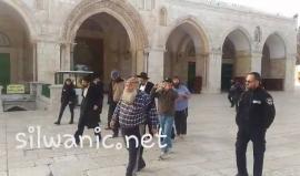 #فيديو مستوطنون يقتحمون باحات المسجد الأقصى