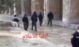 #فيديو مستوطنون يقتحمون الأقصى بحماية أمنية صهيونية مشددة