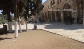استنفار لقوات الاحتلال في محيط وداخل المسجد الاقصى 
تصوير محمد فاروق ادكيدك