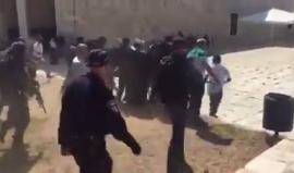 حين يَهب الرجال والنساء للدفاع عنه .. هنا المسجد الأقصى المبارك 

شرطة عسكرية "إسرائيلية" وقوات خاصة لم ترهب المرابطين من نصرته وطرد المستوطنين من باحاته!