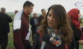 في ربيع فلسطين .. زهرة السوسن النادرة تتوطن في جبال فقوعة . 

تقرير مريم الحاج موسى