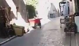 #شاهد ..  وفاة ضابط من أفراد الأجهزة الأمنية وغصابة آخرين اثر اشتباكات مع مسلحين في مدينة نابلس .