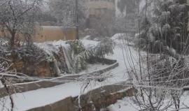 الثلوج في بلدة حلحول بالخليل 

تصوير: Mohanad Arja