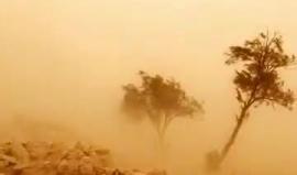 فيديو - عاصفة رملية شديدة تضرب محافظات سعودية