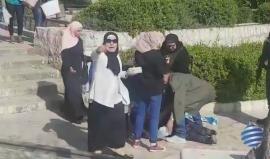 قوات الاحتلال تعتدي بالضرب على فتيات فلسطينيات بعد إعدام سيدة استشهدت أمام باب العامود بالقدس المحتلة .