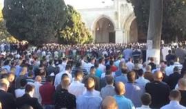 #شاهد #مباشر خطبة وصلاة عيد الأضحى المبارك من المسجد الأقصى المبارك