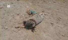 (مشاهد قاسية) 
طائرات نظام الأسد ترتكب مجزرة بحق المدنيين بقصف أحياء مدينة درعا بالبراميل المتفجرة 
تصوير نبأ