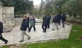 فيديو : اقتحام 5 مجموعات من المستوطنين للمسجد الاقصى صباح اليوم تحت حماية قوات الاحتلال