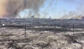 #شاهد ما فعلته الطائرات الورقية الحارقة التي تُطلق من قطاع غزة في حقول الاحتلال