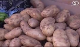 انتشار البطاطا الاسرائيلية في أسواق مدينة جنين على أنها بطاطا بلدية