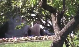 #شاهد| القاء القبض على العشرات من الانقلابيين في مقر الدرك -  القيادة العامة.

#تركيا
#فشل_الانقلاب