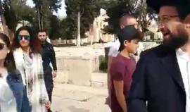 #فيديو مستوطنون يتلقون شروحات خلال اقتحامهم باحات الأقصى صباح اليوم