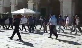 #فيديو مستوطنون يقتحمون ساحات المسجد الاقصى المبارك