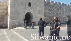 شاهد : اغلاق كامل لابواب المسجد الاقصى والقدس القديمة واجراءات أمنية مشددة