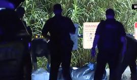 الشرطة الأمريكية تعثر على بقايا جثة محاطة بالتماسيح