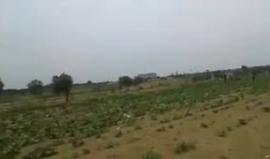 لحظة إطلاق طائرة ورقية حارقة شرق غزة صباح اليوم