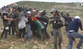 عشرات الإصابات بعد قمع الاحتلال مسيرة يوم الأرض في مادما 
تقرير أمون الشيخ