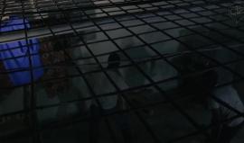 #بث_مباشر| فيلم الباب الدوار للشهيد المثقف #باسل_الأعرج .