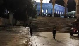 دعاء الوتر من المسجد الاقصى المبارك - الشيخ محمد علي العباسي