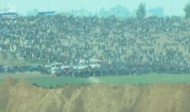 #مباشر .. تصوير من الداخل المحتل عام 48 يظهر الفلسطينيين المتوافدين إلى السياج الفاصل شرق قطاع غزة ضمن #مسيرة_العودة_الكبرى