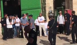 #شاهد جانب من اقتحام وزير الزراعة في حكومة الاحتلال أوري ارئييل صباح اليوم ساحات المسجد الأقصى المبارك برفقة مجموعة من المستوطنين وتحت حراسة مشدّدة من شرطة الاحتلال