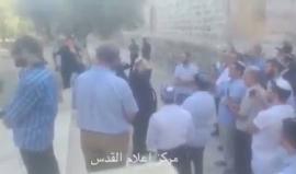 #شاهد مستوطنون يقتحمون باحات المسجد الاقصى تحت حماية قوات الاحتلال