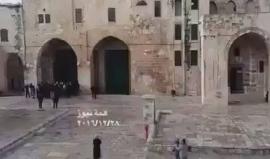لحظة اعتقال حارس المسجد الأقصى فادي باكير بذريعة منعه أحد المستوطنين من تأدية طقوس تلمودية في المسجد