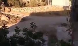 #شاهد اقتحام قوات الاحتلال لـ منطقة واد سود في دورا بالخليل بعد مداهمة منازل لعائلة الفقيه