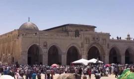 #مباشر : خطبة الجمعة من المسجد الأقصى المبارك 

تصوير: ابراهيم السنجلاوي