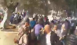 #شاهد #مباشر | مواجهات بين الشبان وقوات الاحتلال داخل ساحات المسجد الأقصى المبارك 
#القدس_تنتصر